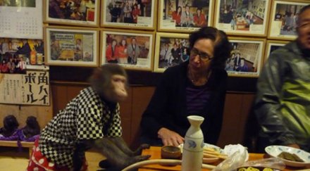 дай една бира маймуно мръсна