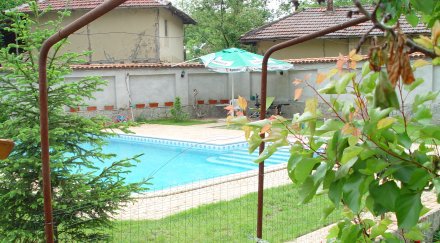 ваньо танов сви любовно гнездо провинцията