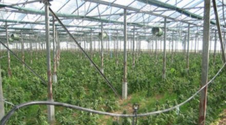 разбиха нарколаборатория конфискуваха близо 000 евро