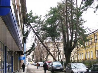 кметът трявна фирми 600 работници спряха нямат ток