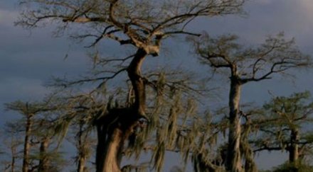 вижте мистериозни страшни места света