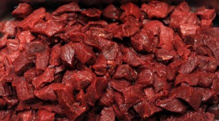 продукти конско месо внесени русия