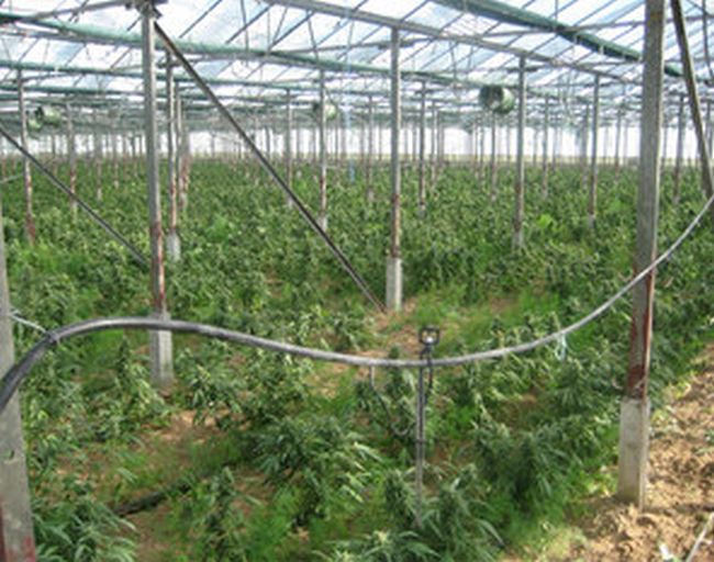 Разбиха нарколаборатория и конфискуваха близо 50 000 евро