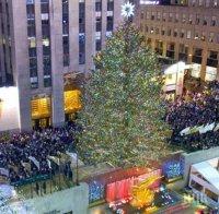 Ню Йорк, Ню Йорк! 29-метрово Коледно дърво грейна пред 