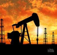 ОПЕК иска намаляване на добивите на петрол, търси широка подкрепа 
