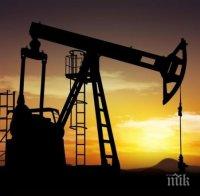От съкращаването на добива на нефт печелят компаниите с намаляващ добив
