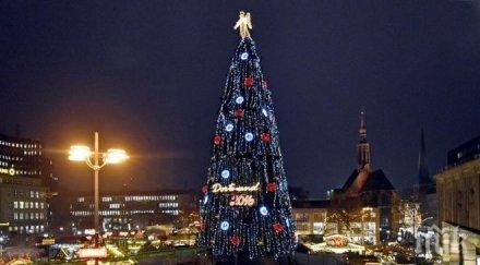 празнична треска пияни мъже отмъкнаха две коледни елхи полицията хвана