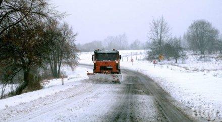 мор студът полша взе жертви