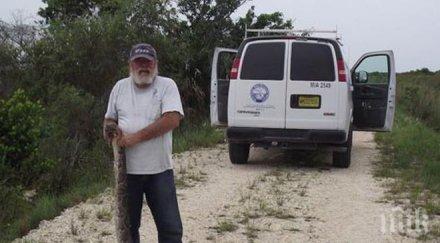 потрес петметров питон изяжда един елен месец