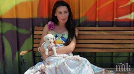 дружка лагерфелд спасява бездомните животни българия снимки