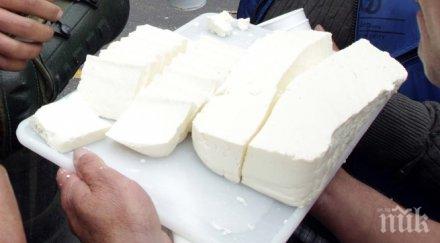 сигнал проверяват сирене растителни добавки