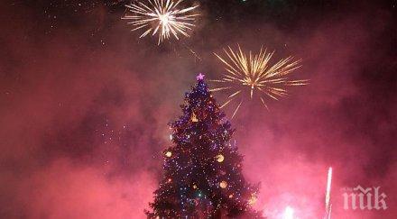 запалиха коледната елха софия