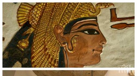 сензация доказаха части мумия принадлежат царица нефертари