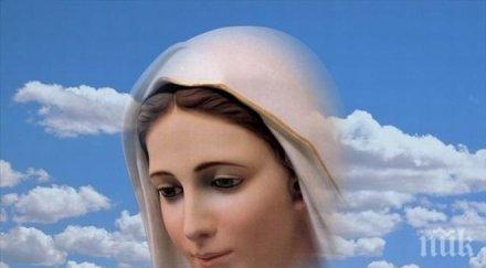 статуя дева мария френския град пюбле свалена