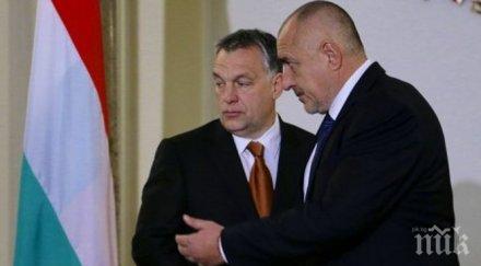 горещи разкрития срещата борисов орбан георги марков застана редом двамата премиери снимка