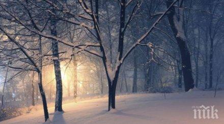 студ стопли чакат сняг вятър ниски температури