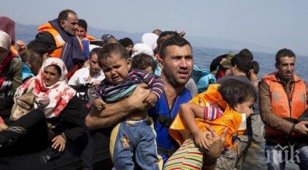 време беше брюксел пуска открита база данни мигрантите