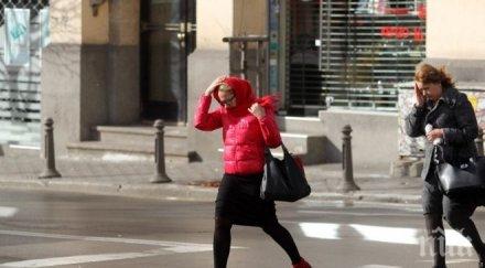 внимание столичани пазете летящи саксии строителите особено стриктни