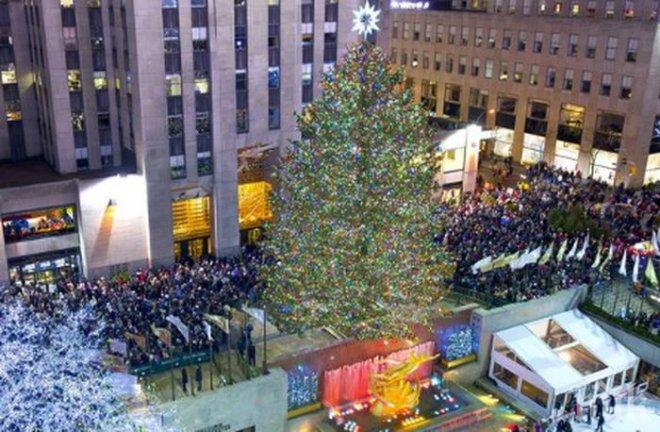 Ню Йорк, Ню Йорк! 29-метрово Коледно дърво грейна пред Рокфелер център (ВИДЕО)