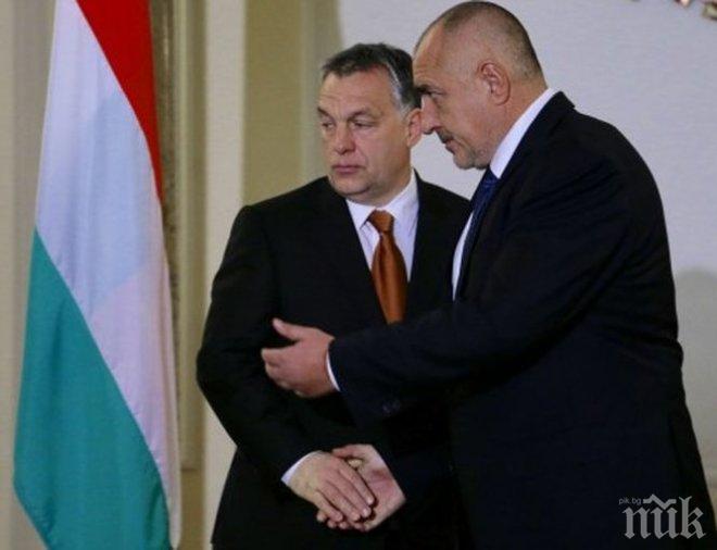 Горещи разкрития от срещата на Борисов и Орбан! Георги Марков застана редом до двамата премиери (СНИМКА)