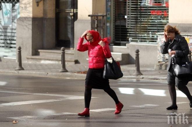 Внимание, столичани! Пазете се от летящи саксии, строителите да са особено стриктни