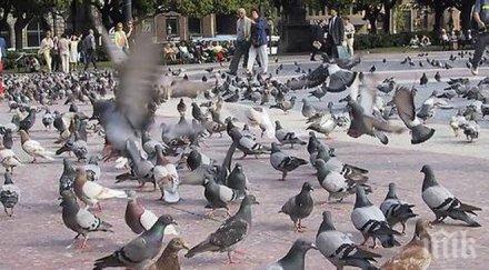 безопасен секс гълъбите барселона противозачатъчни