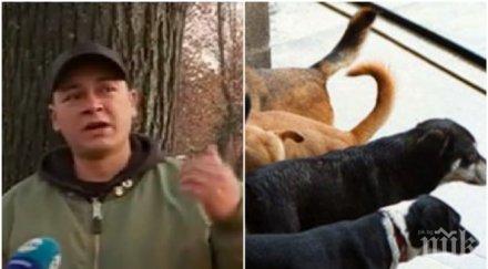 безценни съвети дресьор обясни реагираме нападение кучета