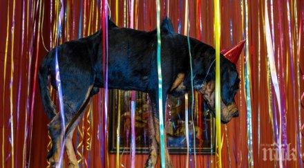 скандал провокативна изложба руския ермитаж