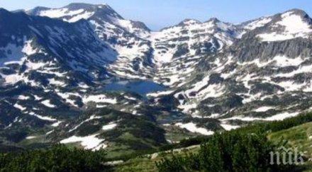 елените карибу пеперудите монарх заплашени изчезване