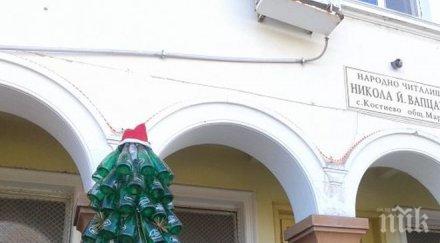 българия намира пивката елха