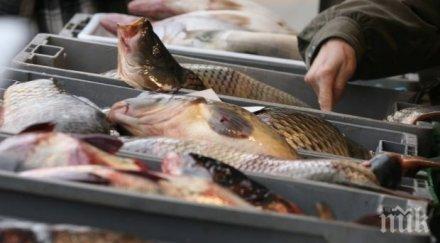 агенцията храните предупреждава купува рибата
