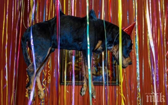 Скандал с провокативна изложба в руския Ермитаж