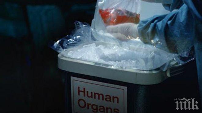 ЧУДОВИЩНА СХЕМА! Разбиха най-голямата световна мрежа за трафик на органи