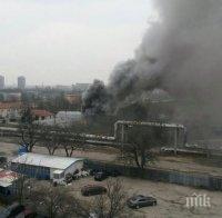 ИЗВЪНРЕДНО! Голям пожар избухна в оранжерия във Враца