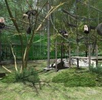 ДАНС иззеха документи от Община Пловдив - нищят законен ли е зоопаркът