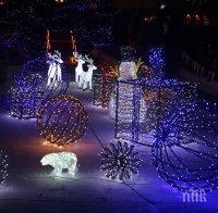 Коледна тръпка! Елхата в Благоевград бие с 220 волта ток