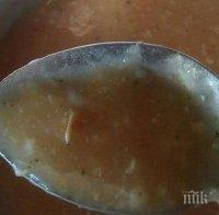 ГНУС! Родител показа какъв червей е намерил в храната на дъщеря си (СНИМКИ)