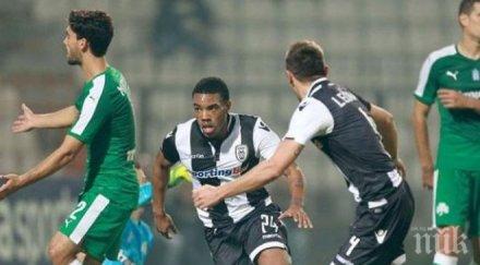 любимец сектор поведе паок финалите фиорентина справи карабах