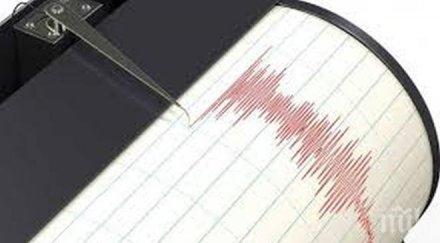 поне хил души избягаха домовете силното земетресение индонезия