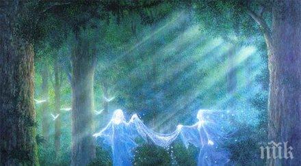 вечер пускайте половинката навън самодиви отвличат мъже