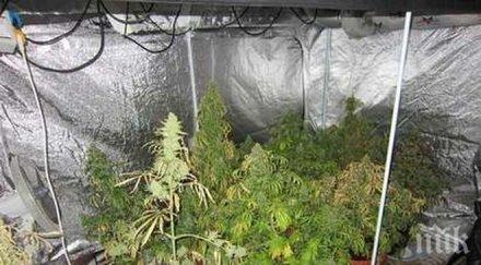 дилърът матрос георги филев размина условна присъда наркофермата меден рудник