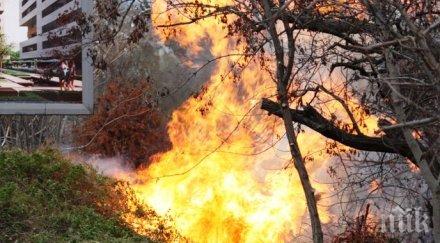 огнен варна буйни пламъци два хотела три пожарни гасят
