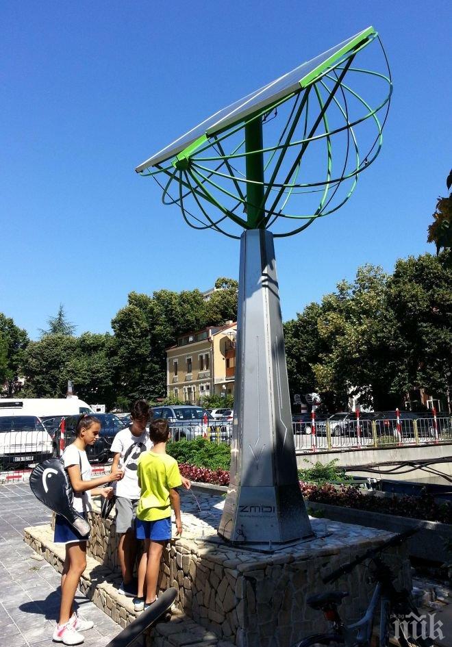 ПИК TV: Вандали разбиха „Слънчевото зарядно” във Варна