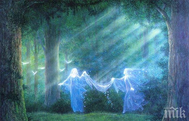 Тази вечер не пускайте половинката си навън! Самодиви отвличат мъже