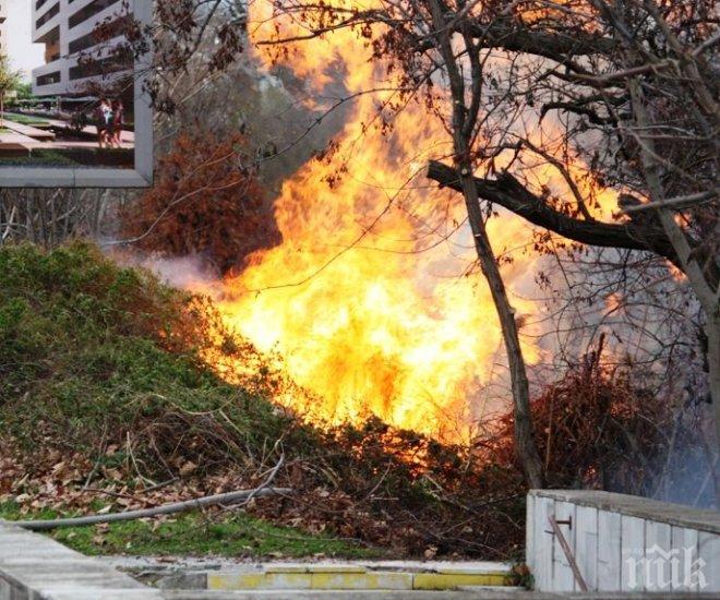 ОГНЕН АД ВЪВ ВАРНА! Буйни пламъци между два хотела, три пожарни гасят 