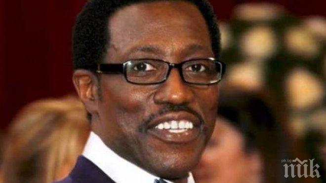 Уесли Снайпс сменя попрището - ще става писател