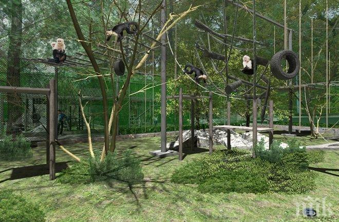 ДАНС иззеха документи от Община Пловдив - нищят законен ли е зоопаркът