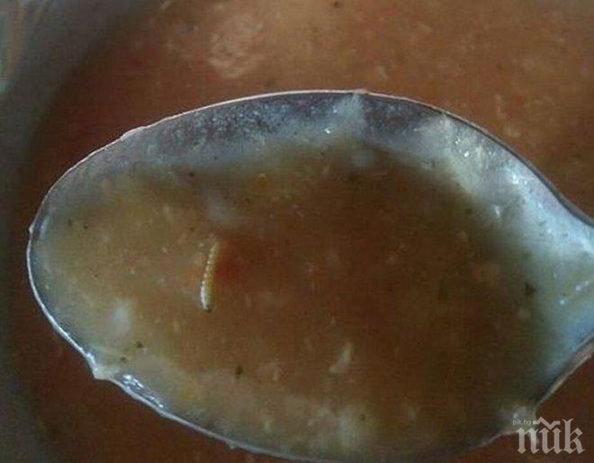 ГНУС! Родител показа какъв червей е намерил в храната на дъщеря си (СНИМКИ)