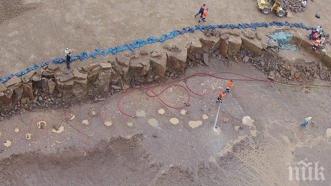 УНИКАЛНА НАХОДКА! Откриха опашка на динозавър на 99 млн. години в запечатка от кехлибар