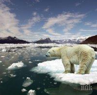 Пагубни резултати! Полярният лед изчезва